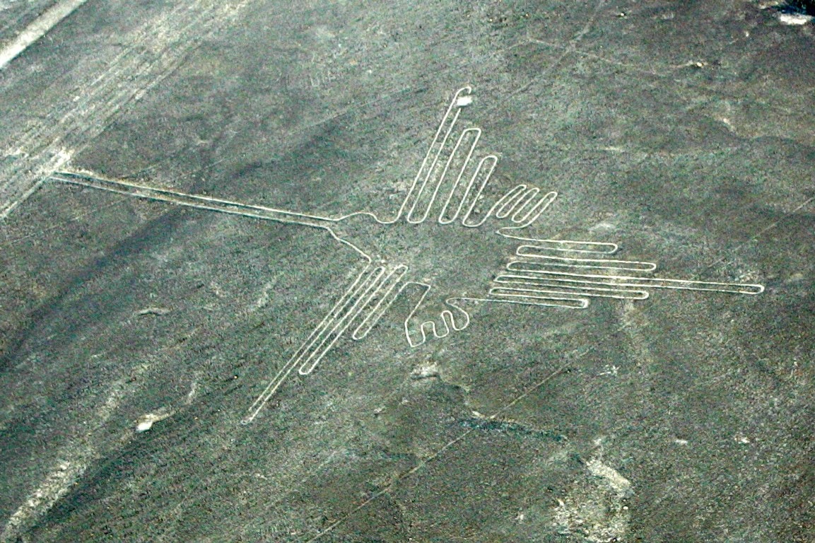  Beija-flor no deserto de Nazca | Pilar Olivares - Reuters 