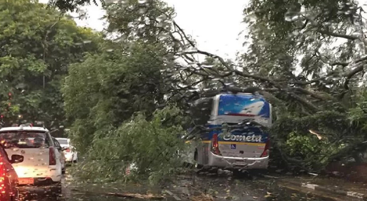 As tempestades em S&atilde;o Paulo registaram na quarta-feira dia 9 de mar&ccedil;o de 2016 ventos superiores a 100 quil&oacute;metrso-hora Foto: Blog De Olho no Tempo 