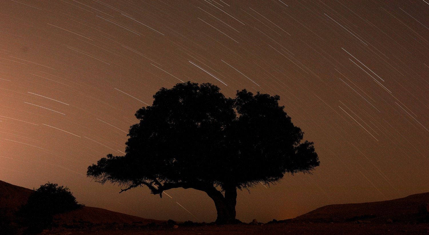  Chuva de meteoros a sul de Israel, 13 de agosto de 2019 /Amir Cohen - Reuters 