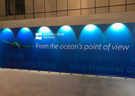 Foto: Andrea Neves, correspondente da Antena 1 em Bruxelas