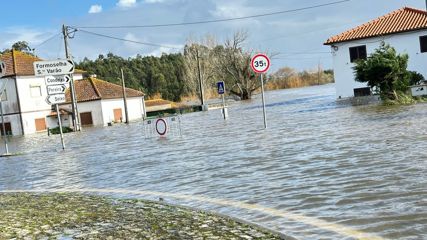 Destruição de culturas pode levar a subida do preço dos legumes
