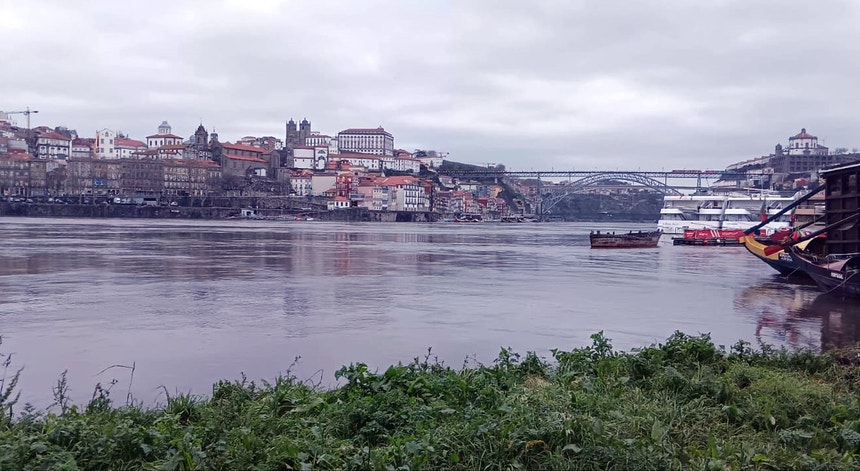 Imagem de Mantêm-se alertas no Douro devido a chuva e vento forte