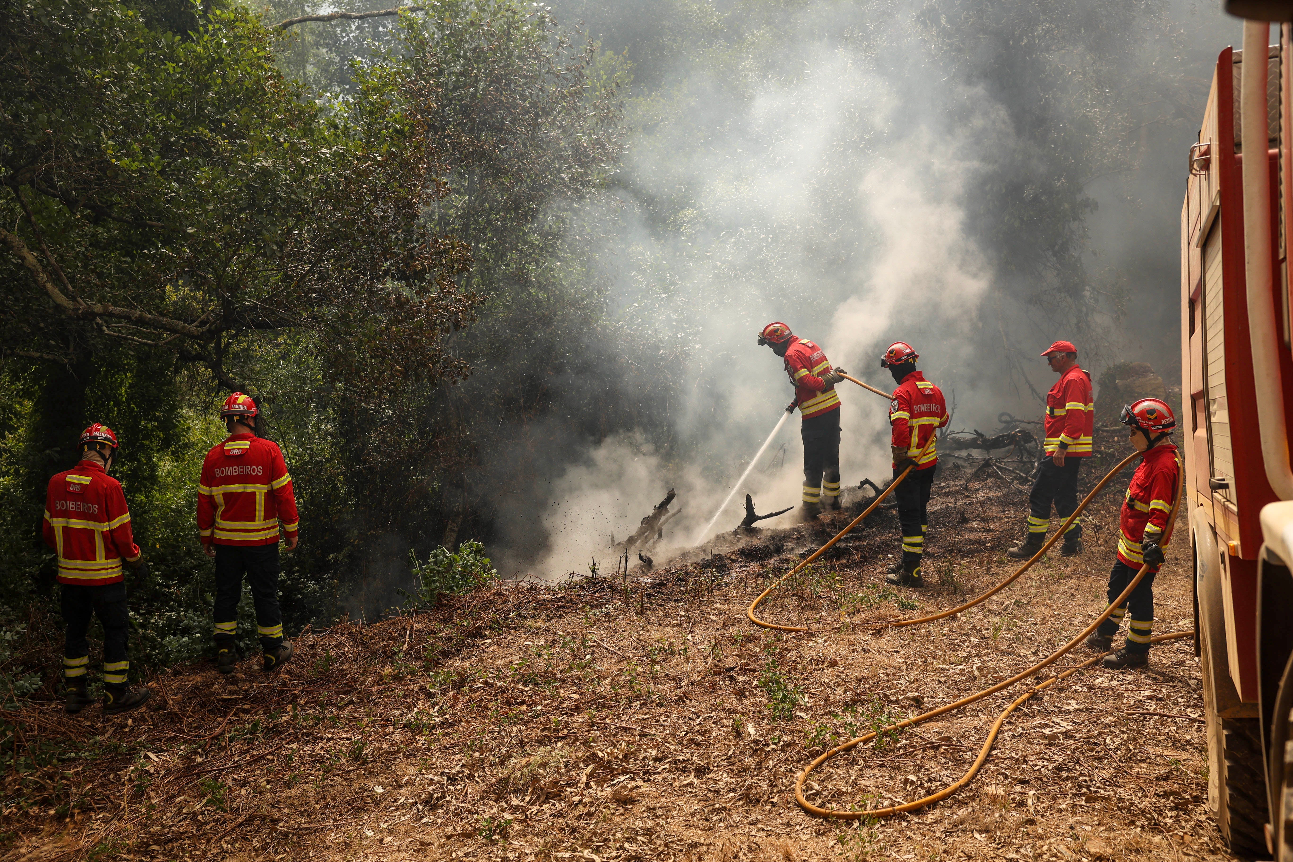 Fire in Paços de Ferreira: blaze left 111 people displaced