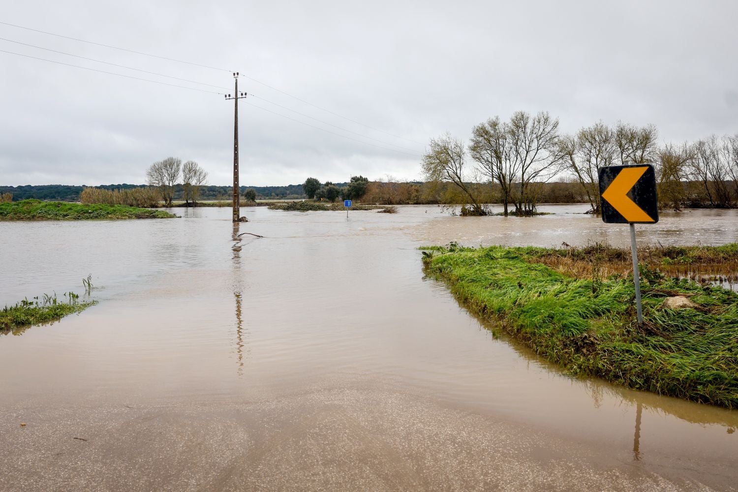Persistent rain and strong winds. Civil Protection warns of flood risk near the country's main rivers