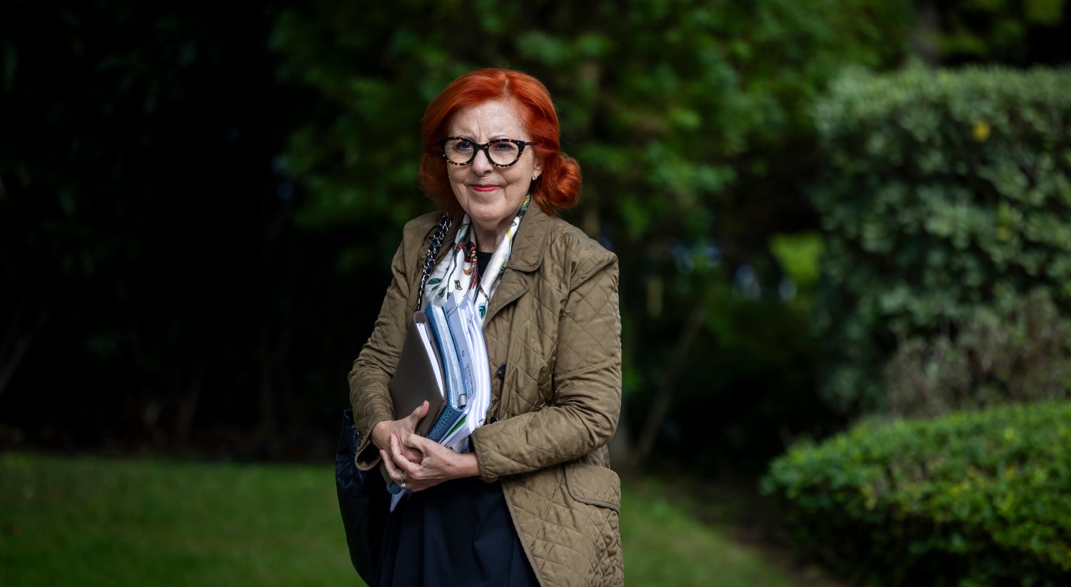 Study to adapt power grid to climate risks begins