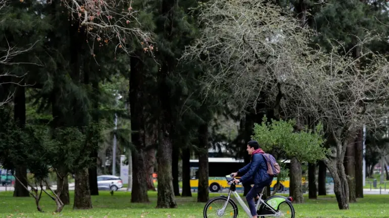 A conservação da natureza divide ambientalistas e Governo
