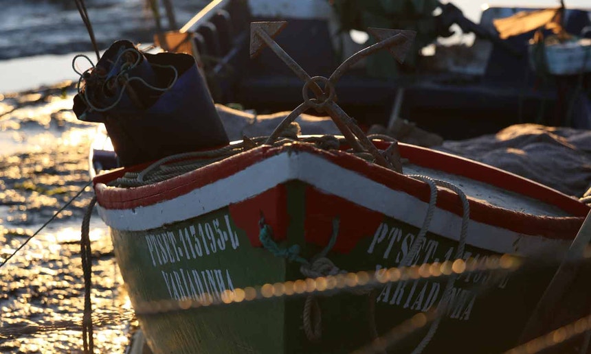 Imagem de Pescadores em terra pedem atenção a famílias em situação crítica