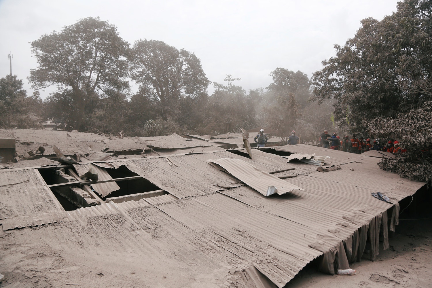  Foto: Luis Echeverria via Reuters 