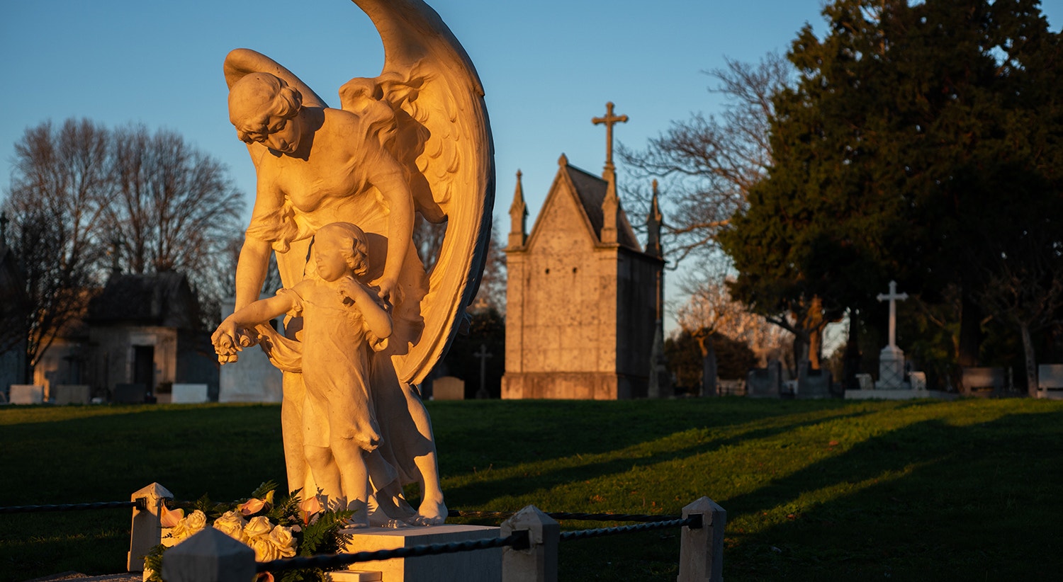  Foto: David Ara&uacute;jo - RTP  