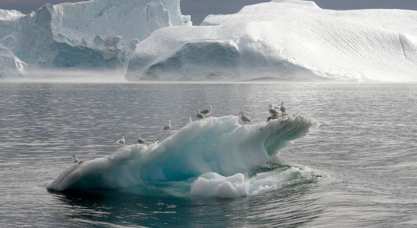 Em 2007 foi registado o manto polar mais fino de sempre desde o início das medições satélite em 1979 Foto: Reuters
