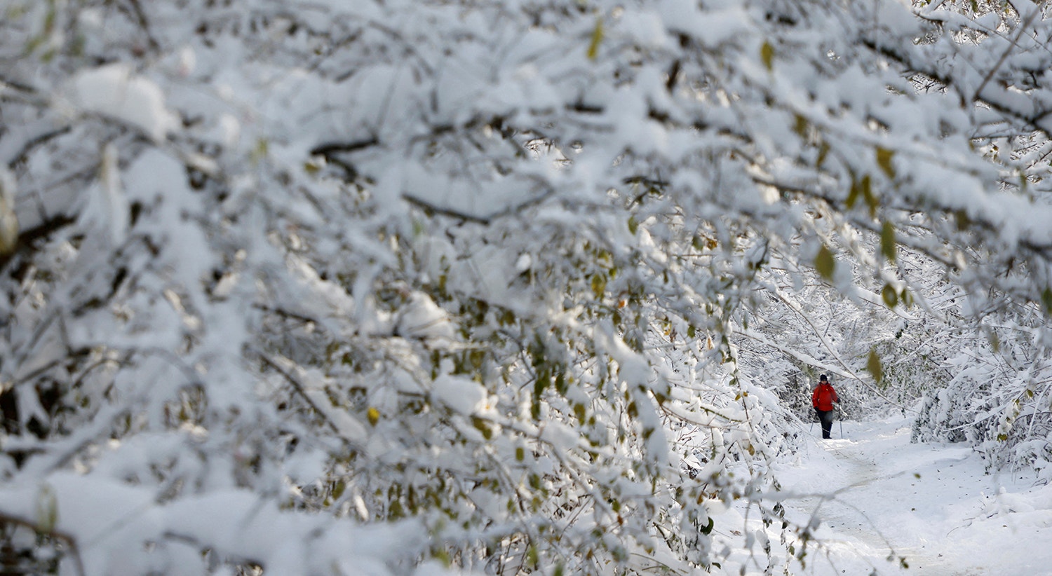  Viena, &Aacute;ustria |  Foto: Leonhard Foeger - Reuters    