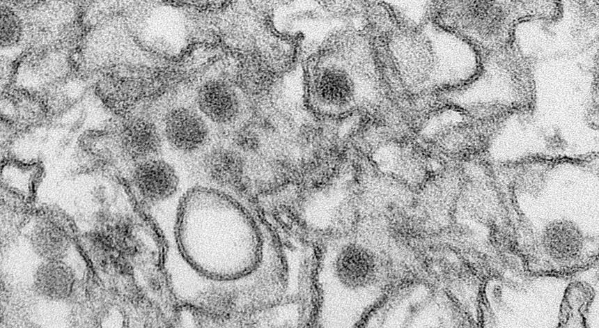 Cynthia Goldsmith, Reuters