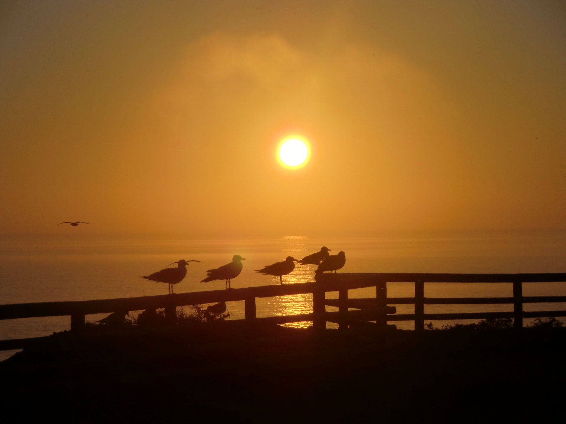  Enviada por Fernando Silva 