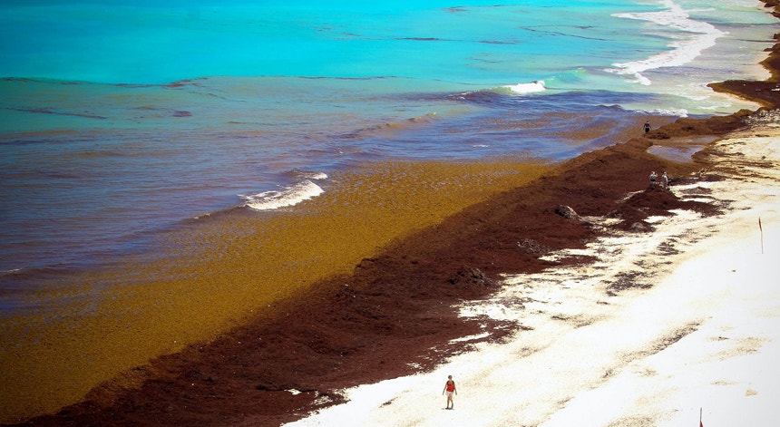 Imagem ilustrativa: Oferta de emprego