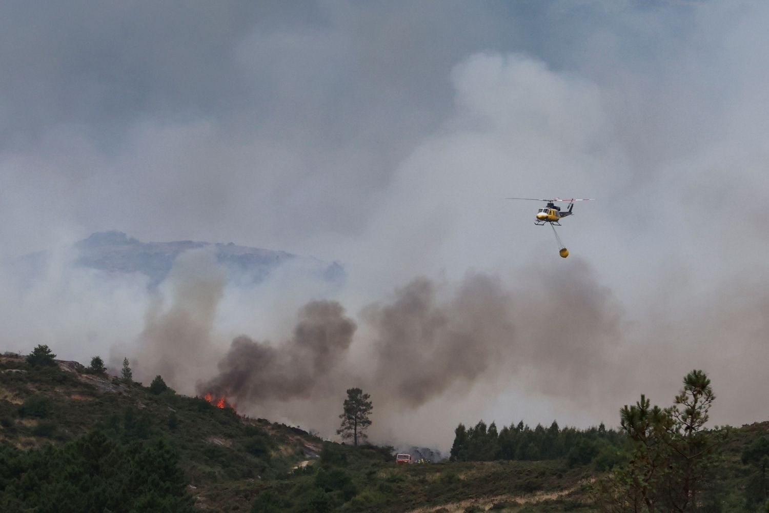 Armed Forces prepared for wildfire prevention