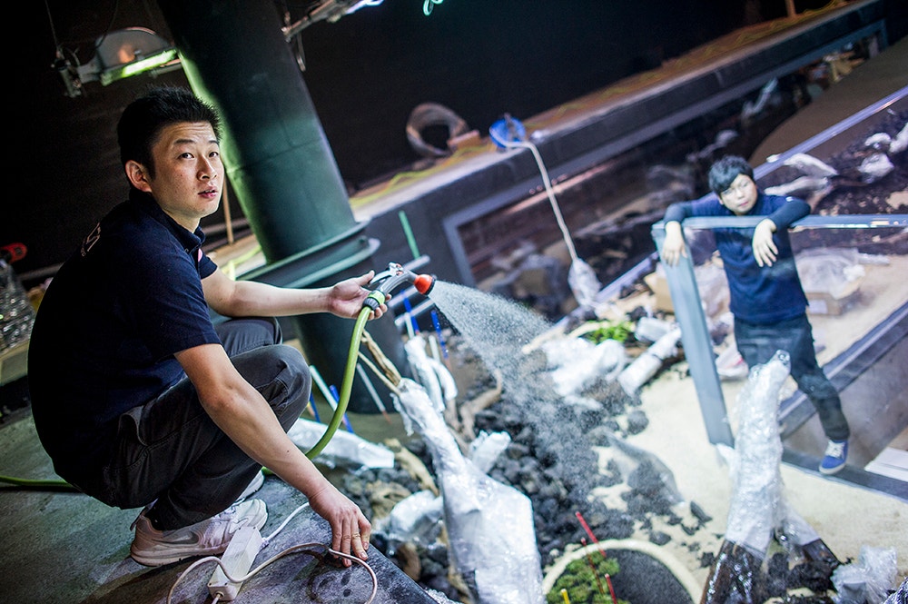  Pedro A. Pina / Ocean&aacute;rio  