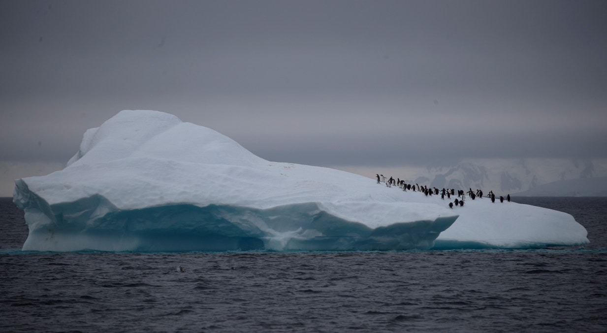  Ant&aacute;rtica, iceberg perto do canal de Lemaire, fevereiro | Ueslei Marcelino- Reuters 