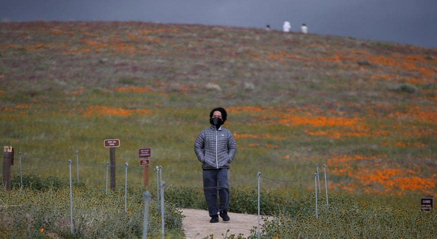 Uma pessoa caminha em Antelope Valley, ao longo da Reserva de Papoilas da Califórnia, condado de Lancaster, a 26 de março de 2020  
