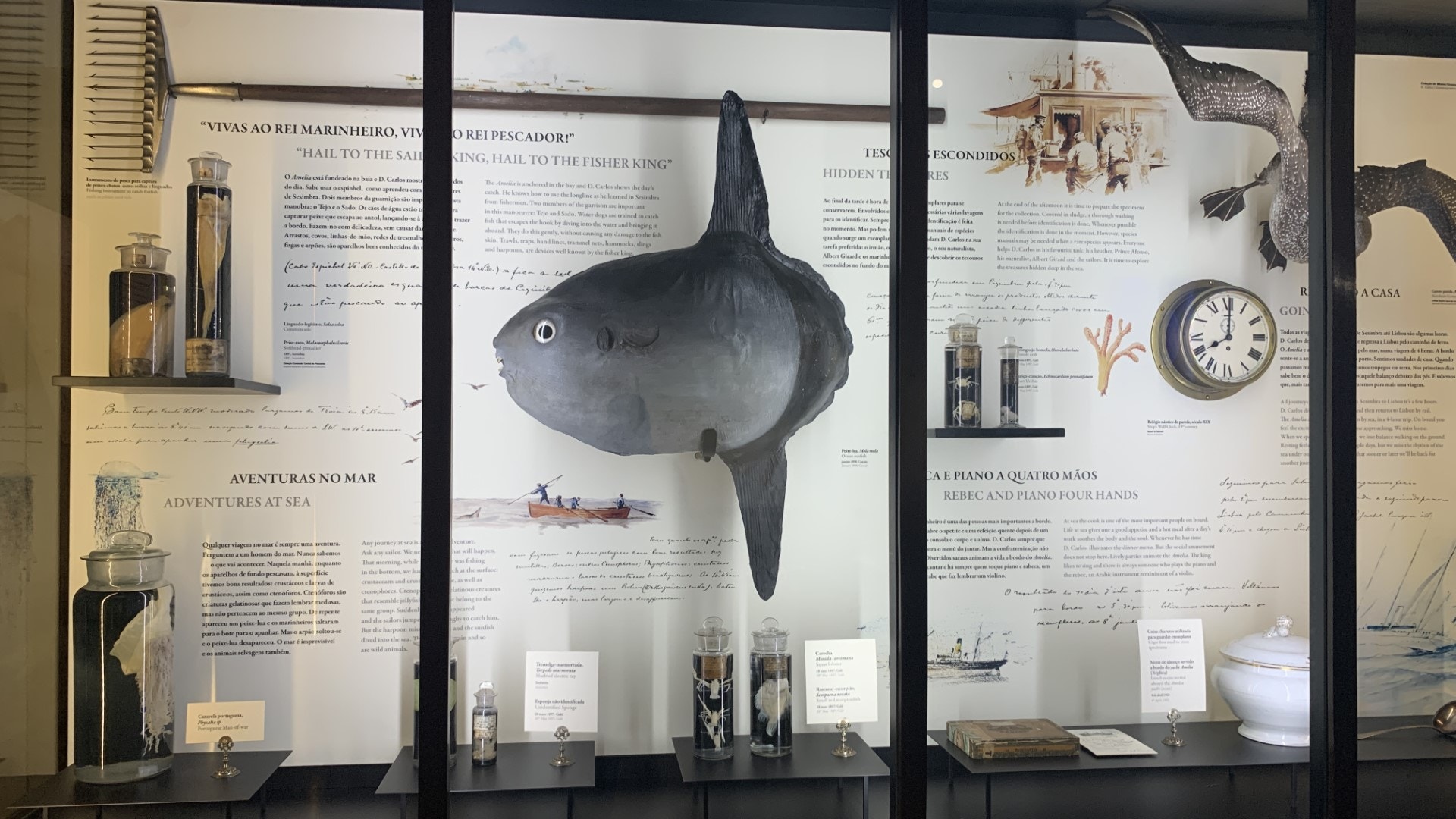  Foto: Arlinda Brand&atilde;o - Antena 1 