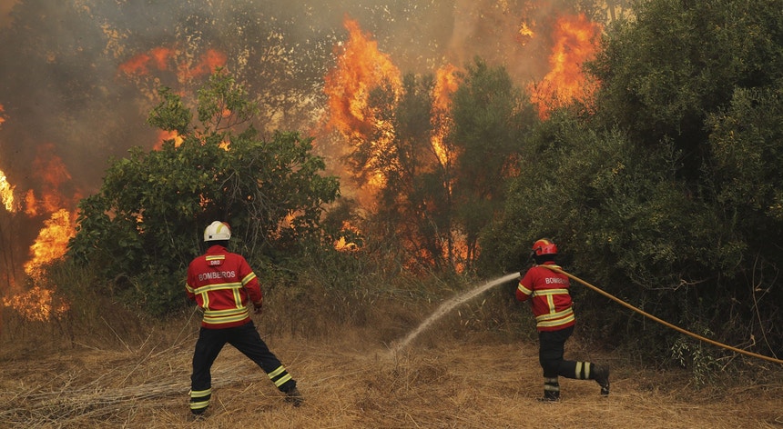Fogo De Monchique Ja Destruiu Mais De 21 300 Hectares