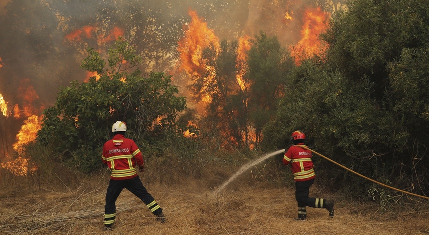 Fogo De Monchique Ja Destruiu Mais De 21 300 Hectares