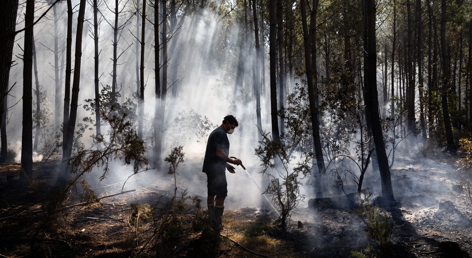 Calor e incêndios. "O que devemos fazer é abandonar o carvão, o petróleo e o gás mais rapidamente"