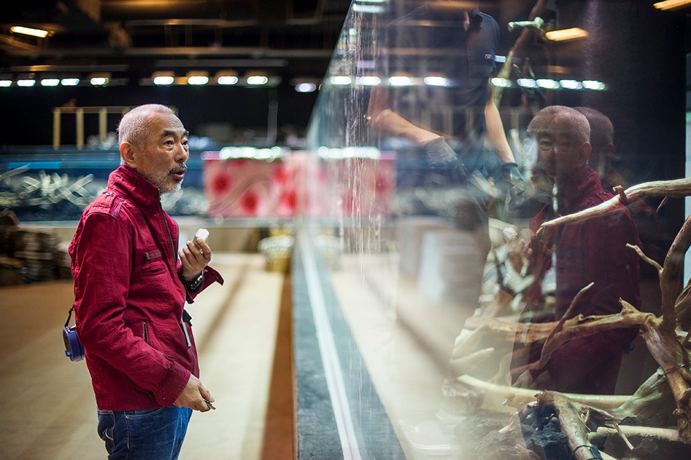  Pedro A. Pina / Ocean&aacute;rio  