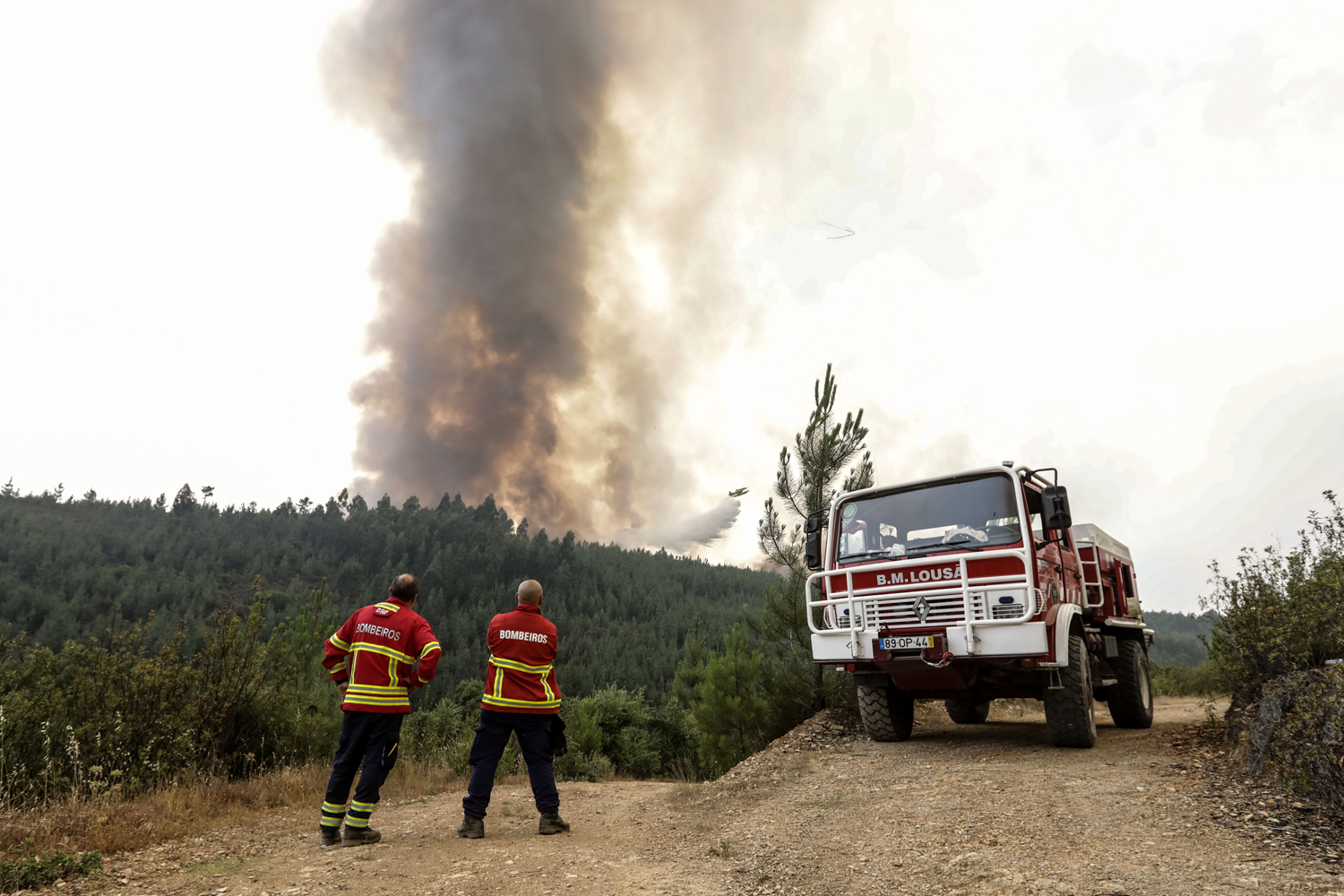  Foto: Paulo Nobre - Lusa  