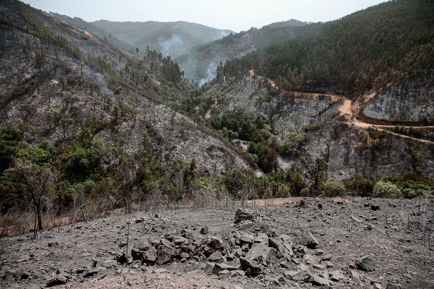  Filipe Farinha - Lusa 