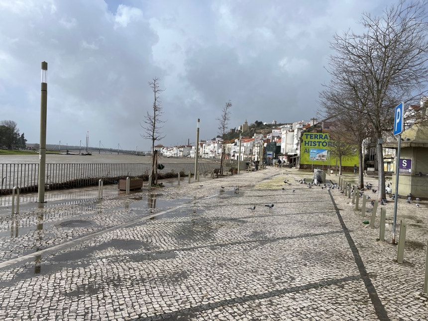 Imagem de Começaram as limpezas em Alcácer do Sal