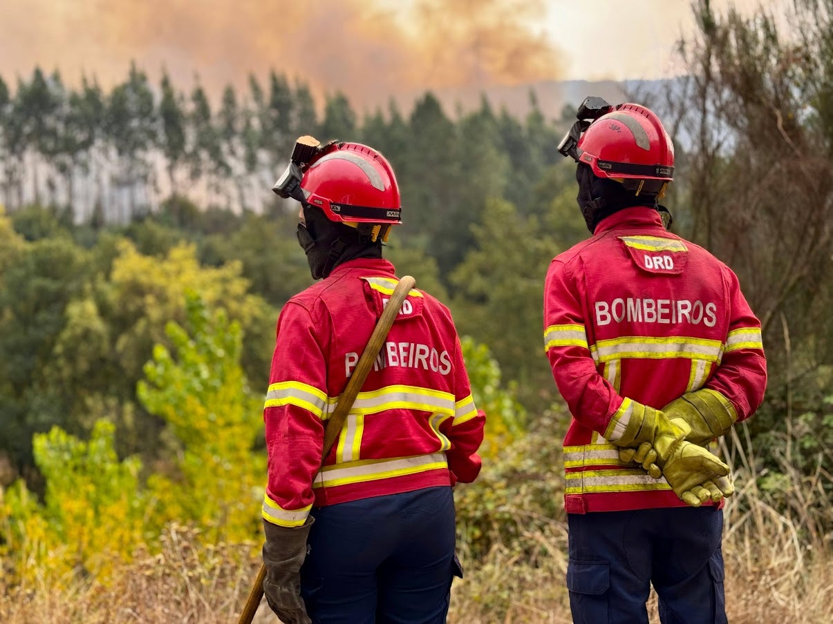 Treze meios aéreos e 301 operacionais combatem fogo em Fornos de Algodres