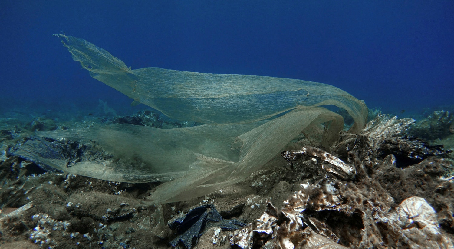  Pl&aacute;stico no fundo do oceano perto da ilha de Andros, na Gr&eacute;cia. 20 julho 2019 /Stelios Misinas - Reuters 