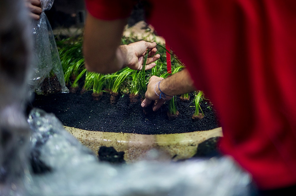  Pedro A. Pina / Ocean&aacute;rio  