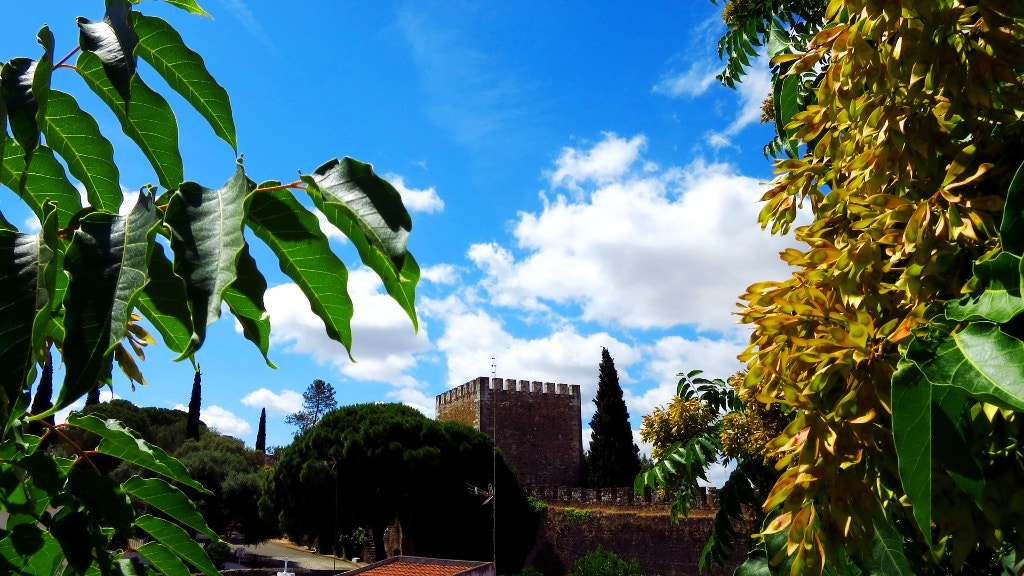  Enviada por Raul Barreto - O castelo e sua envolvente 