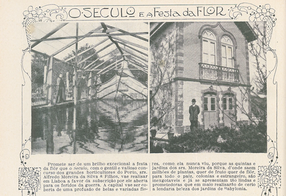 Cruzada das Mulheres II