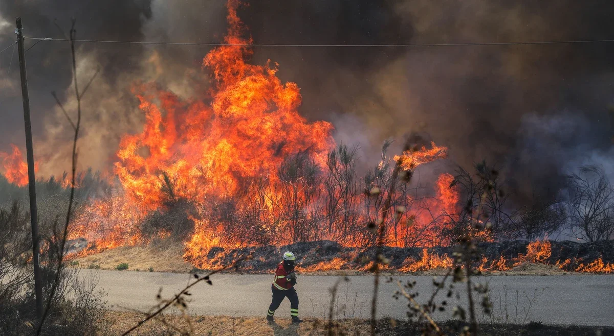 Coimbra region reports delays in wildfire support payments for 2025