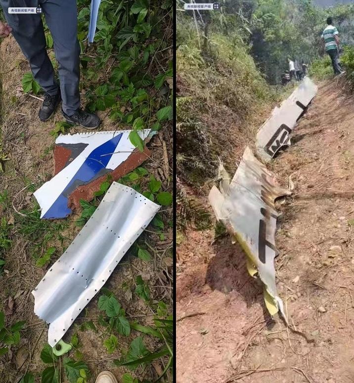 Imagens que circulam nas redes sociais mostram supostos destroços do Boeing 737 da China Eastern Airlines
