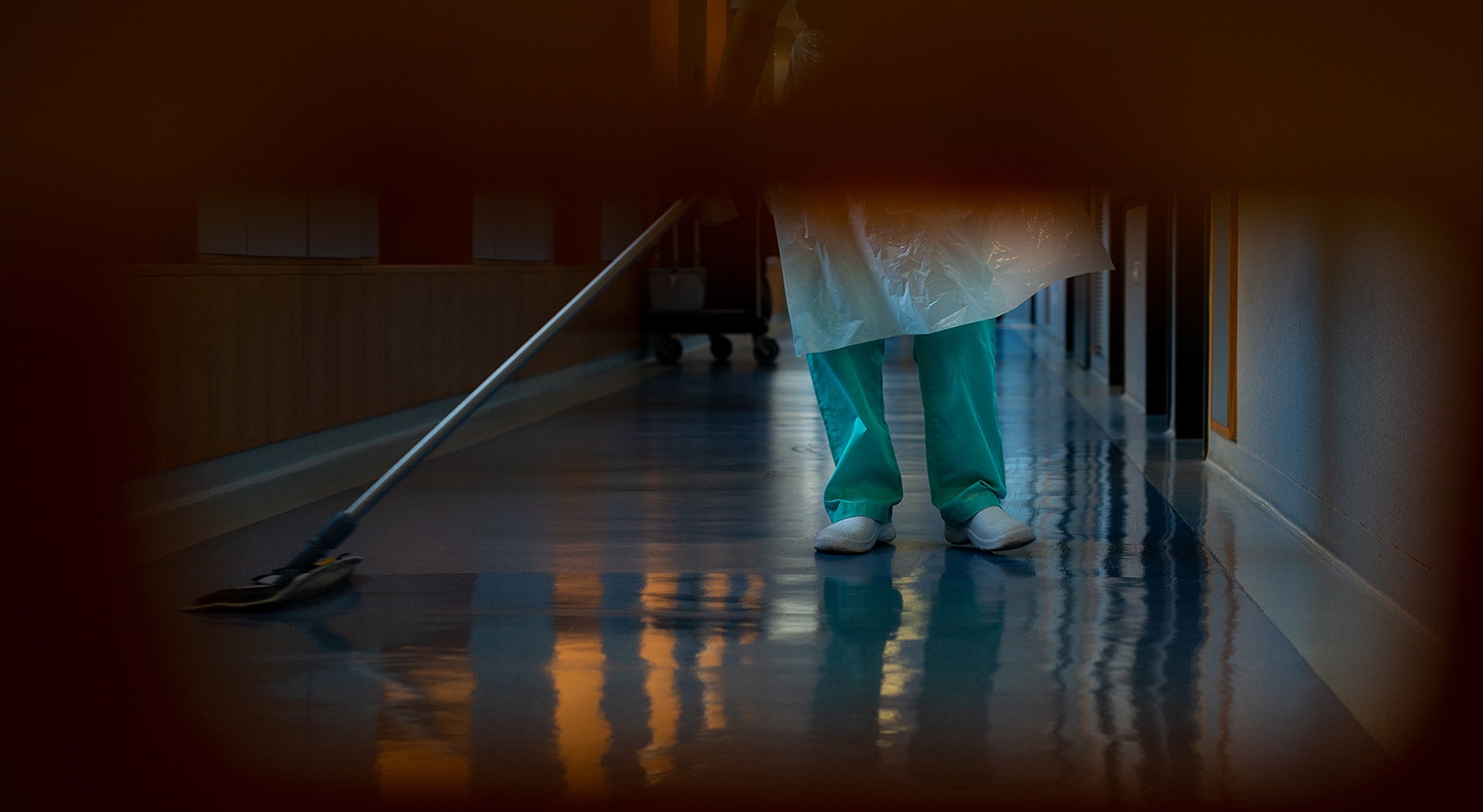  Foto de David Ara&uacute;jo 