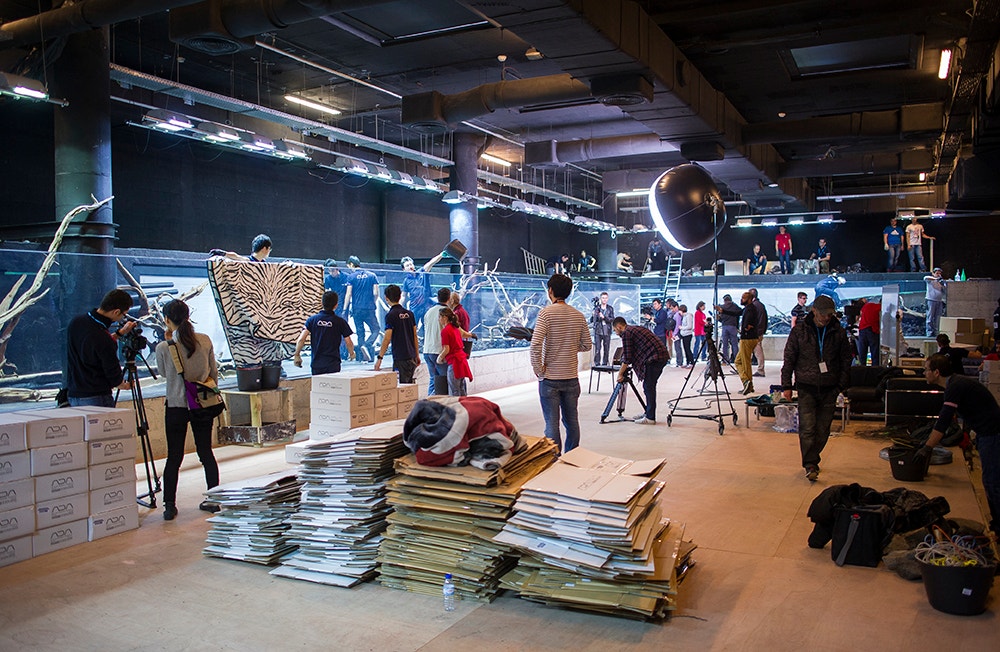  Pedro A. Pina / Ocean&aacute;rio  