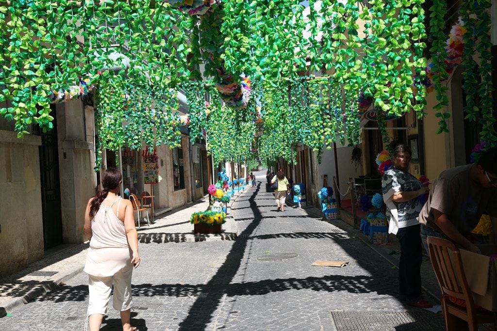  Nuno Patr&iacute;cio - RTP 
