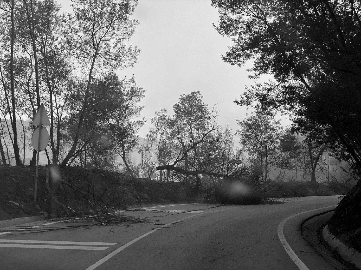  Foto: Miguel Soares - RTP 