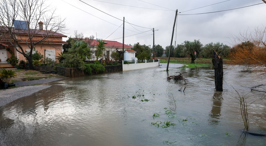 Imagem de Mondego a subir. Exército ajuda população com bens essenciais
