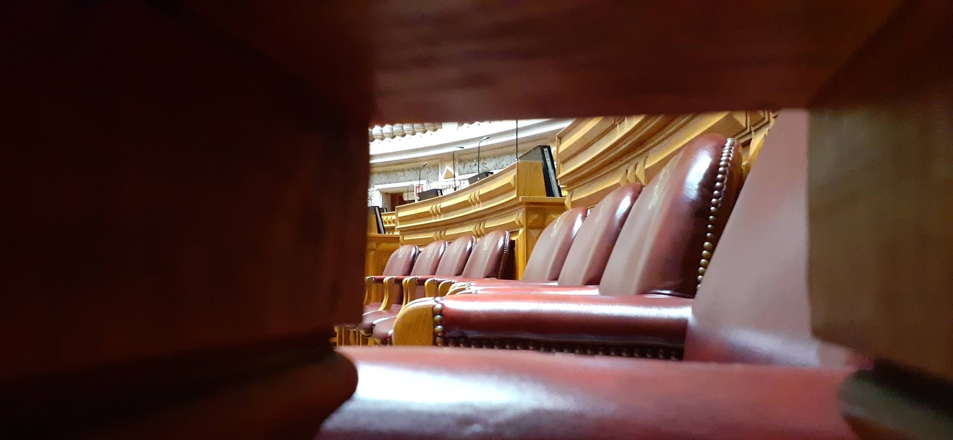 Right to be forgotten: Inclusion of cancer, HIV, diabetes, and hepatitis C approved in committee