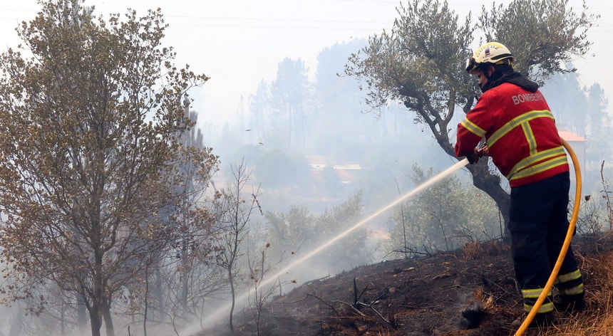 O incêndio nos concelhos de Vila de Rei e Mação consumiu 9.631 hectares de floresta
