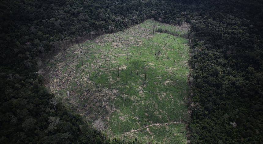 Florestas tropicais degradadas estão a lançar gases com efeito de estufa para a atmosfera
