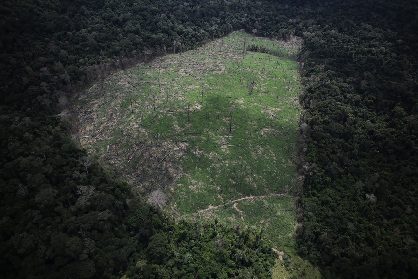 Florestas tropicais degradadas estão a lançar gases com efeito de estufa para a atmosfera