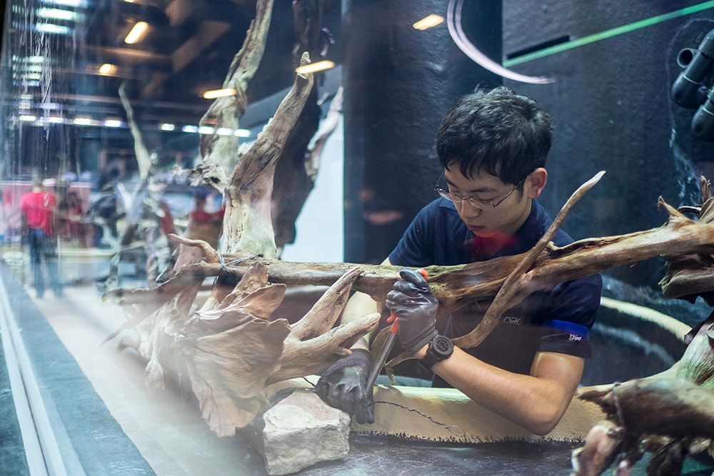  Pedro A. Pina / Ocean&aacute;rio  