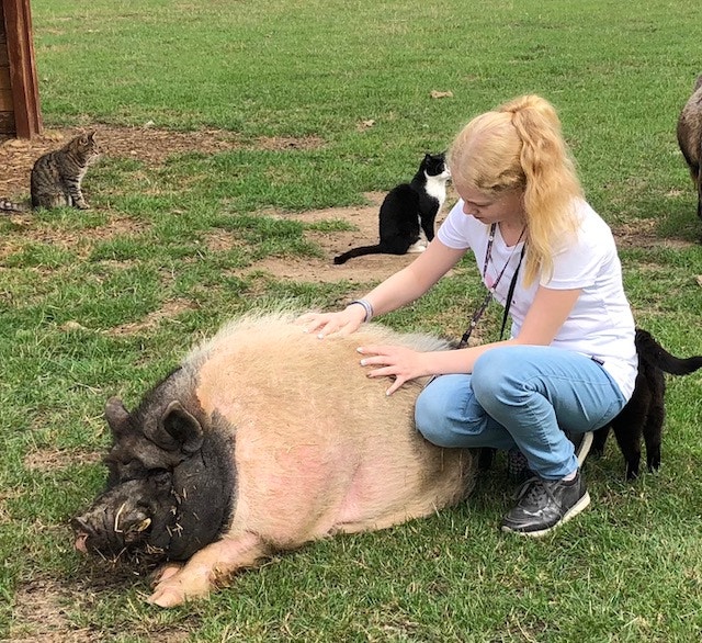  Andrea Neves - Antena 1 