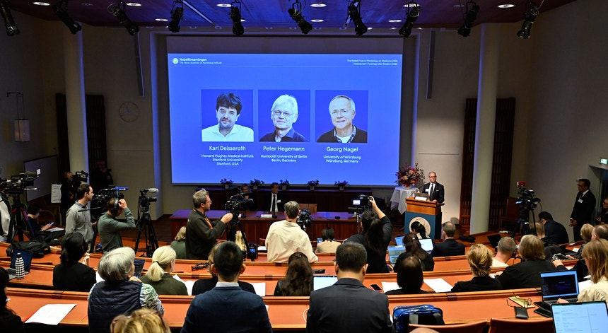 Imagem de Nobel da Medicina distingue técnica capaz de ativar neurónios
