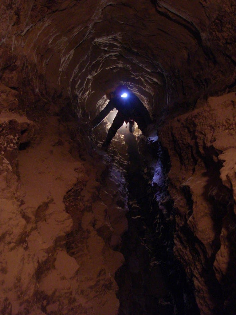  Foto cedida por: Pedro Silva Pinto/DR 